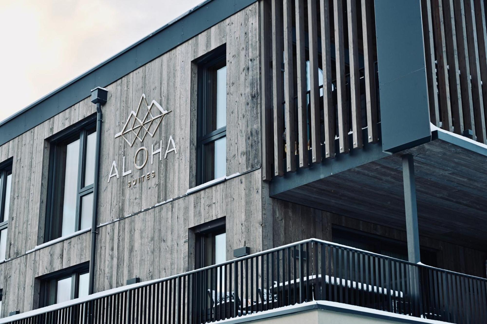 Aloha Suites - Alpin Lodge Haus Гаус-ім-Енншталь Екстер'єр фото