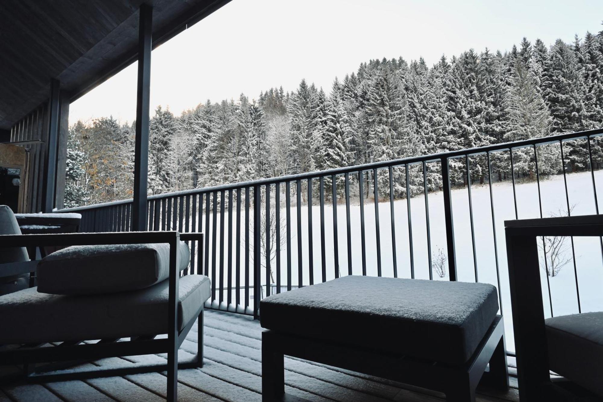 Aloha Suites - Alpin Lodge Haus Гаус-ім-Енншталь Екстер'єр фото