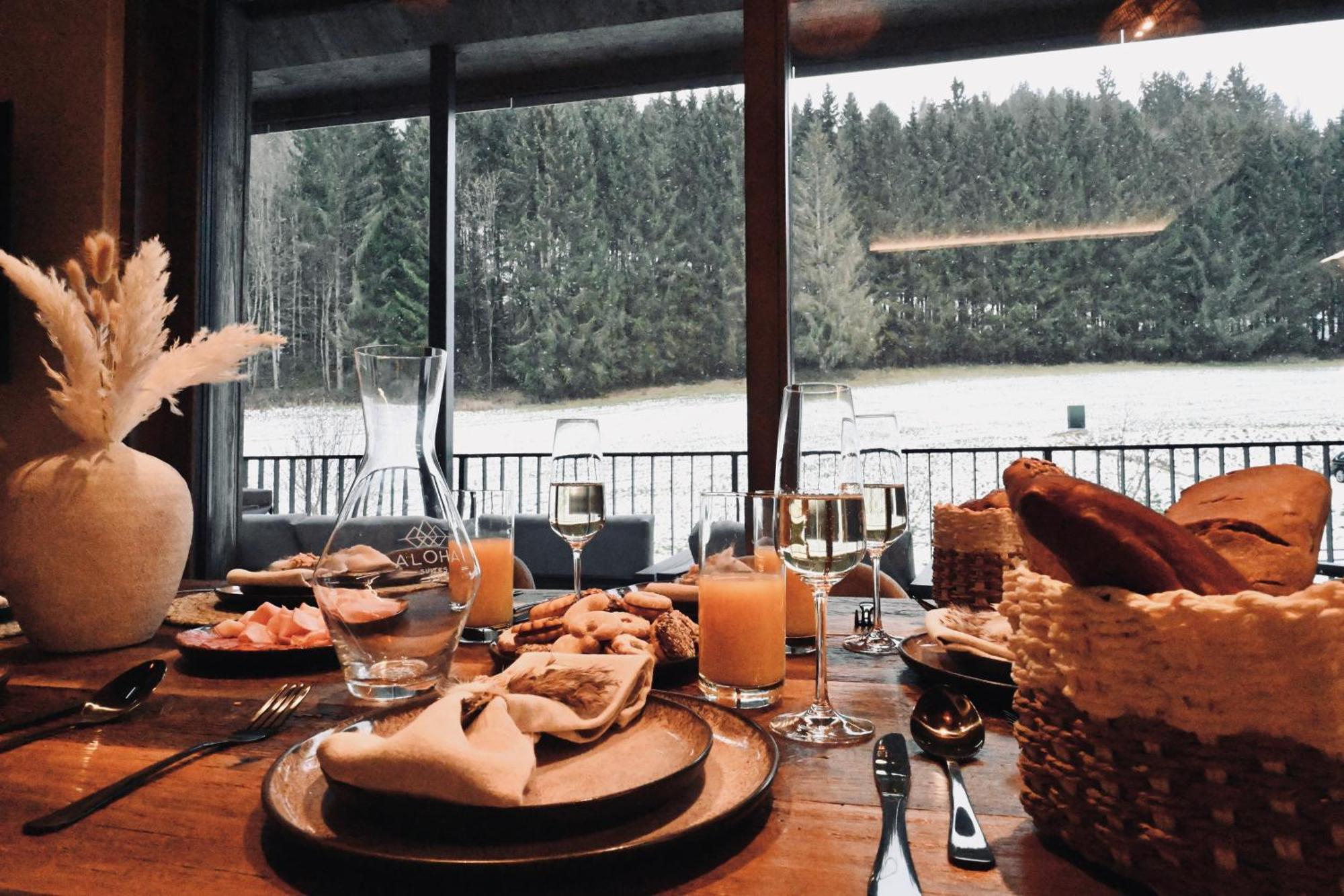 Aloha Suites - Alpin Lodge Haus Гаус-ім-Енншталь Екстер'єр фото
